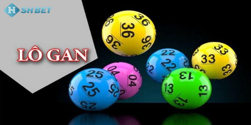 Banner www.toyota-vinhphuc.com.vn