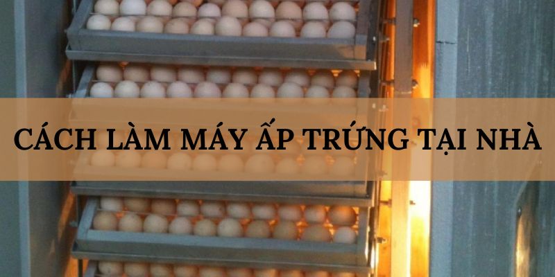 Banner www.toyota-vinhphuc.com.vn