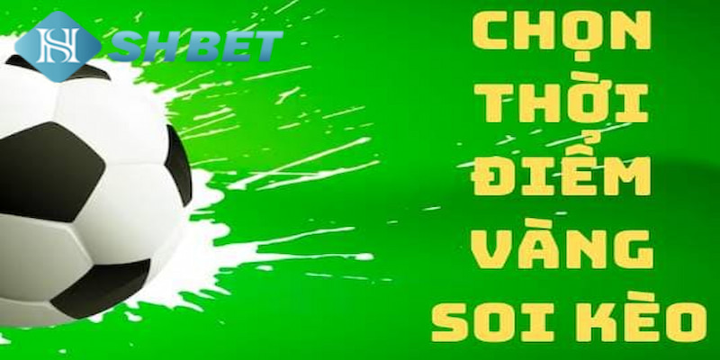 Banner www.toyota-vinhphuc.com.vn