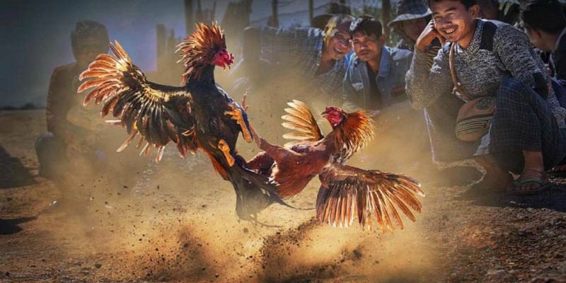 Banner www.toyota-vinhphuc.com.vn