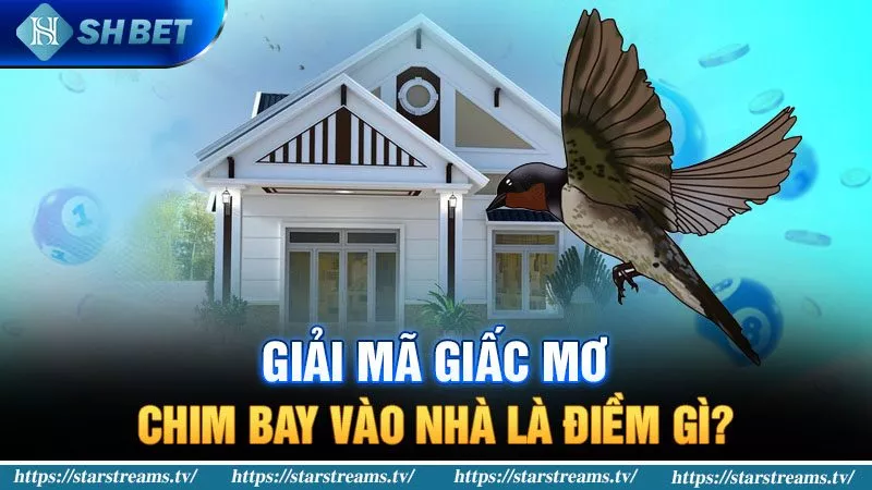 Banner www.toyota-vinhphuc.com.vn