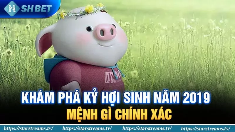 Banner www.toyota-vinhphuc.com.vn