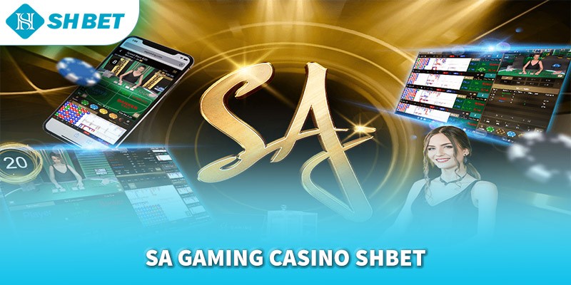 Banner www.toyota-vinhphuc.com.vn