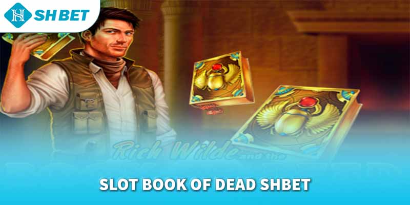 Banner www.toyota-vinhphuc.com.vn