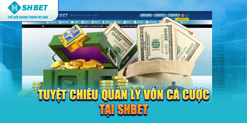 Banner www.toyota-vinhphuc.com.vn